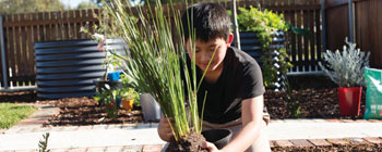 Child in the garden planting