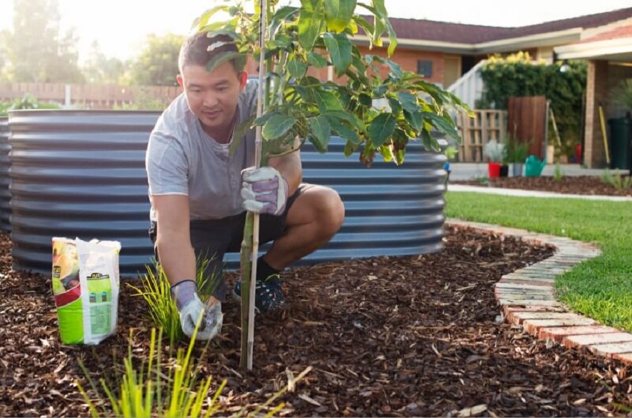 Young Man Gardening