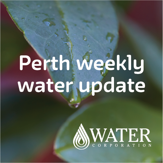 Perth weekly water update