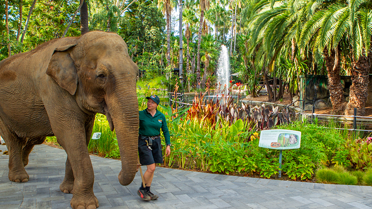 Perth Zoo Mainlake Enclosure area