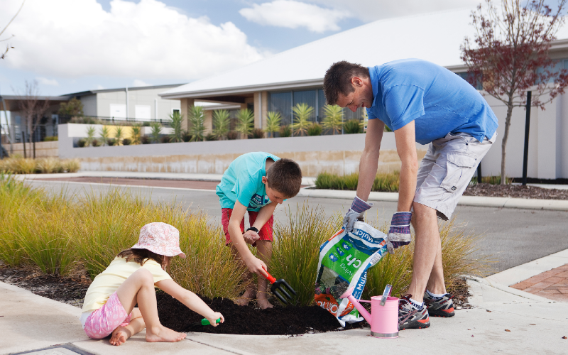 Dad gardening with kids and applying mulch to waterwise verge
