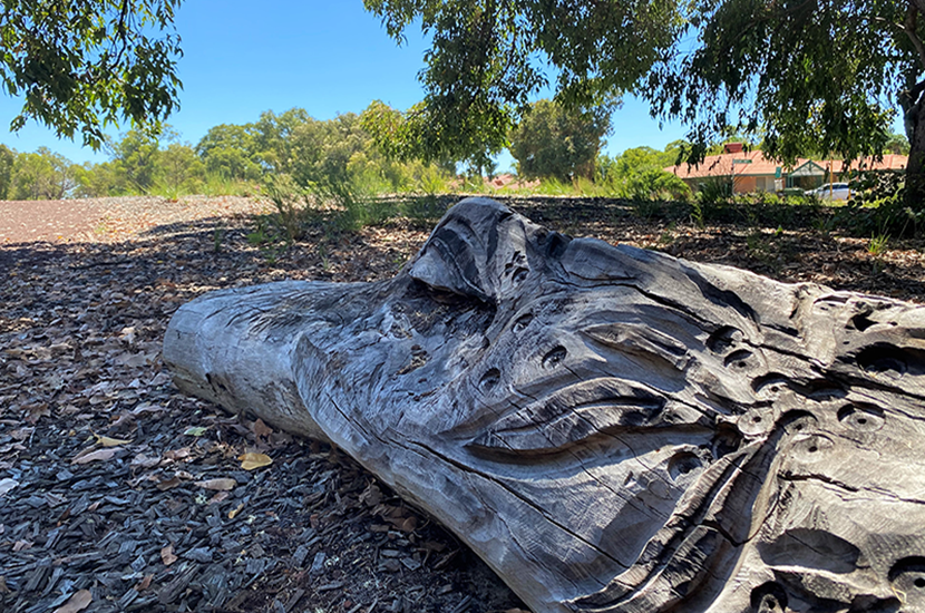 City of Bayswater - planted trees