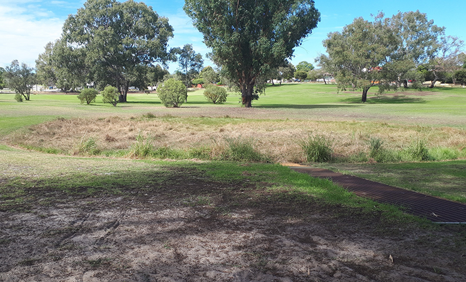 Town of Bassendean - Mary Crescent Reserve storm water basin 