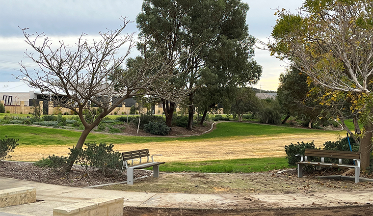 Watsonia Park restoration
