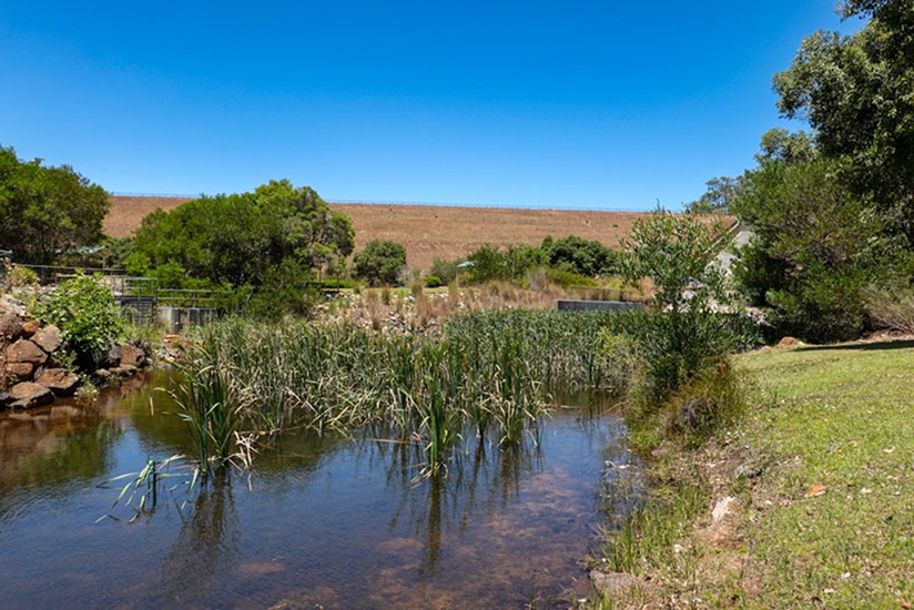 Water from Churchman Brook flows alongside a grassy area at Churchman Brook Dam