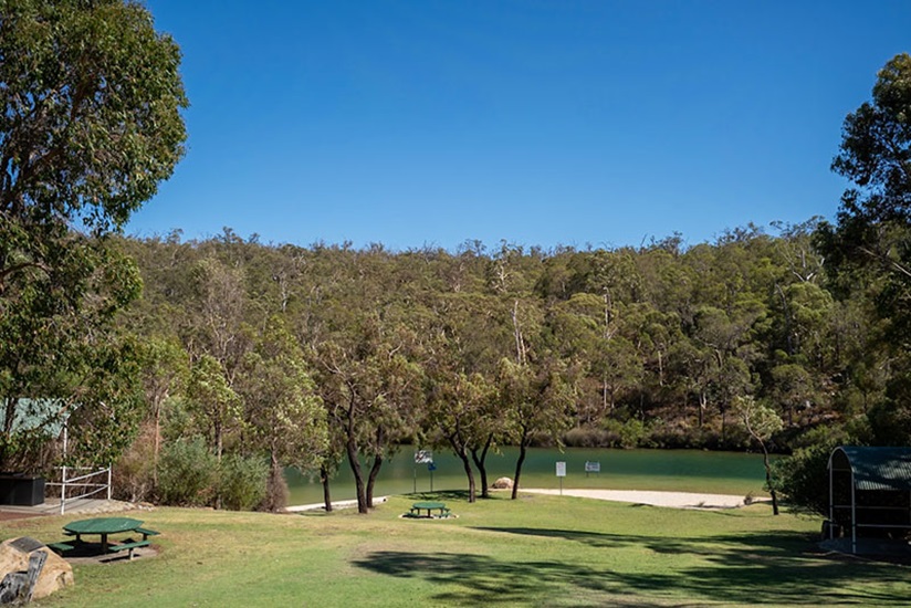 A large lawn with picnic tables and trees at North Dandalup Dam
