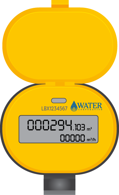 Axioma smart meter
