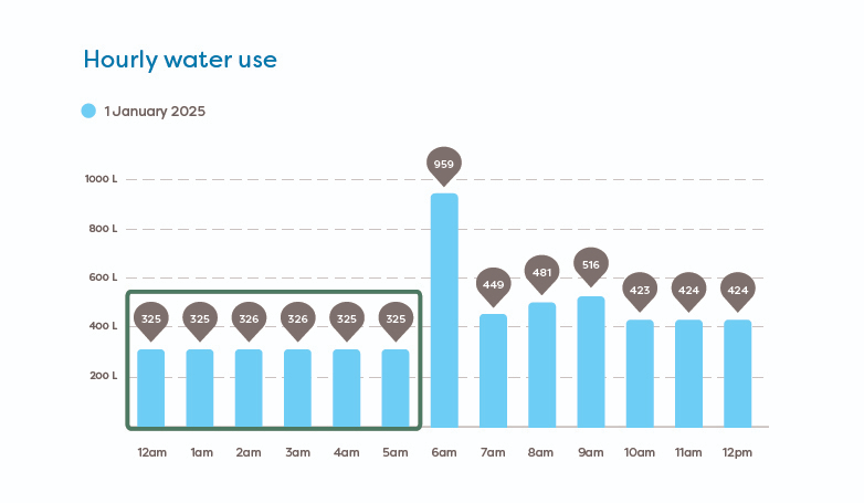 A graph showing your hourly water usage in your online account