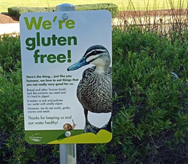 Sign at park warning to not feed the ducks