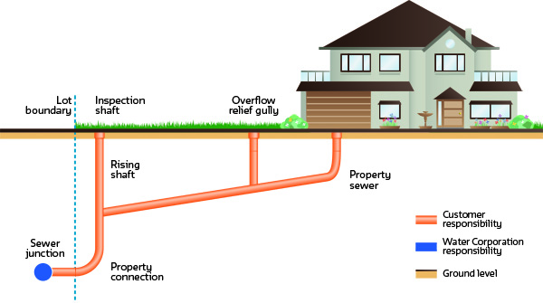 Diagram showing where the responsibilities lie between Water Corporation and the proper owner for sewer plumbing this includes the overflow relief gully, property sewer, inspection shaft, rising shaft, and property connection as a responsibility of the owner while just after the lot boundary under there is the sewer junction which is our responsibility.