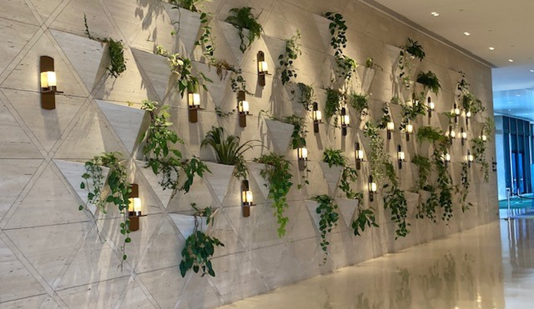 Crown Towers living wall