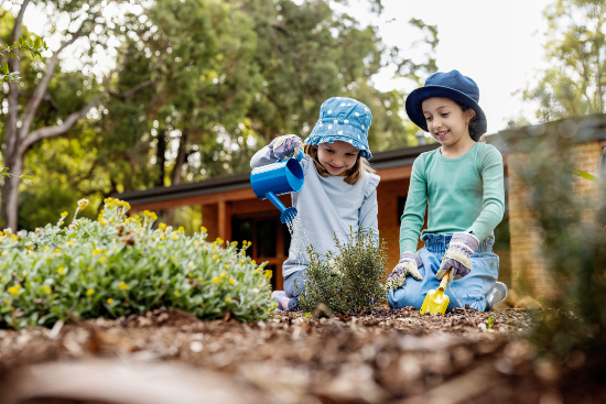 Garden designs