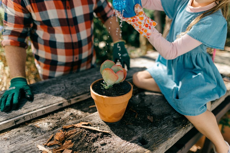 Waterwise gardening
