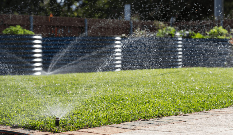 Sprinklers watering the lawn