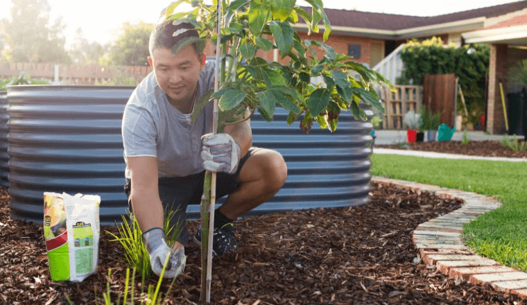 A man in his garden spreading wetting agent onto soil 
