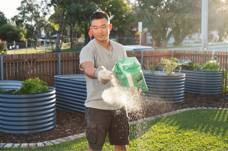 Man in garden applying wetting agent to lawn