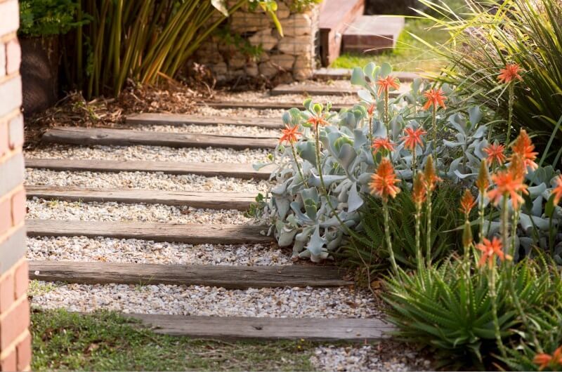 Garden path with waterwise plants
