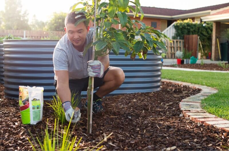 A man in his garden spreading wetting agent onto soil