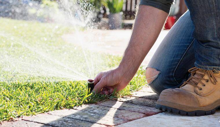 Gardener checking sprinkler on the lawn