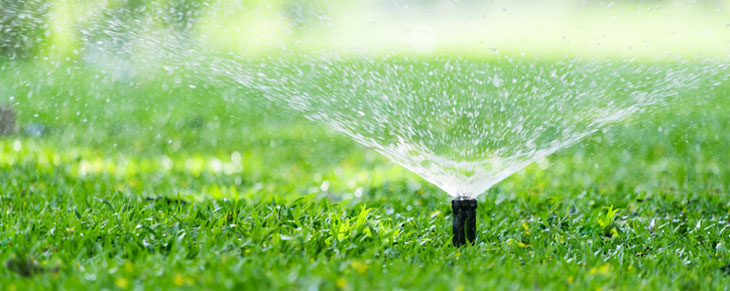 Sprinkler watering lawn
