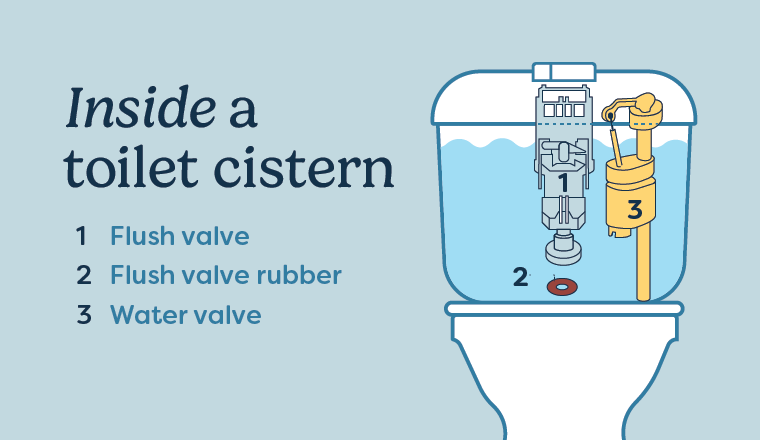 Inside a toilet cistern