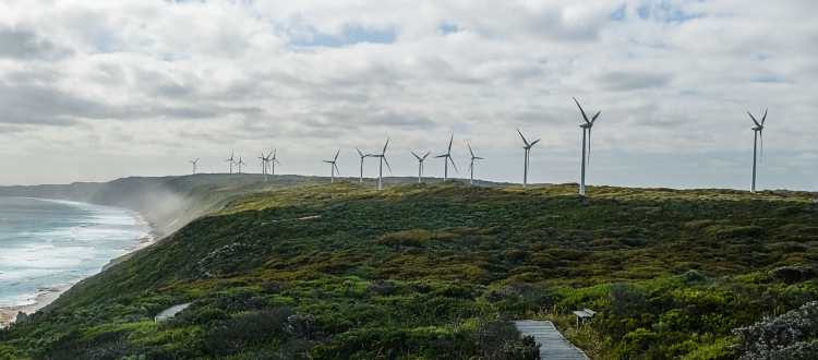 Albany wind farms