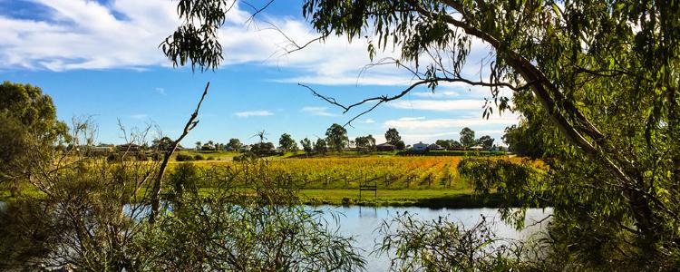Landscape image of the South West