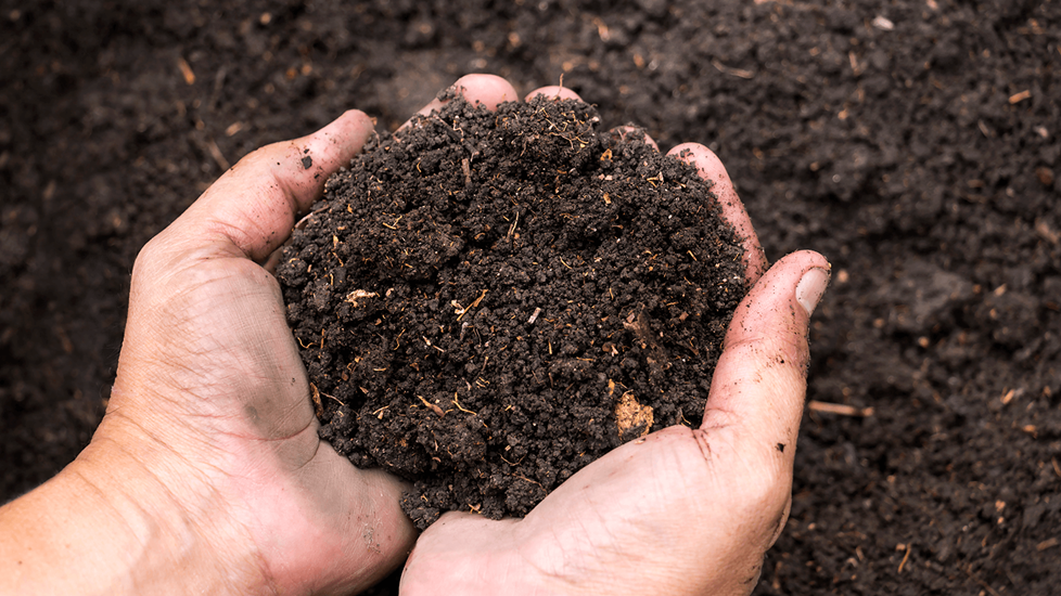 Hand holding some soil