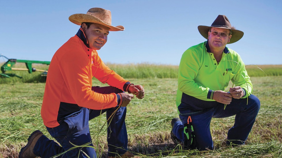 Two men in a hay field