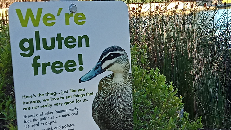 Photo of the City of Mandurah Gluten Free Ducks sign