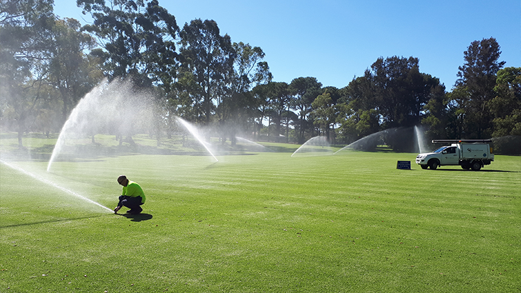 Photo of sprinklers on in green field