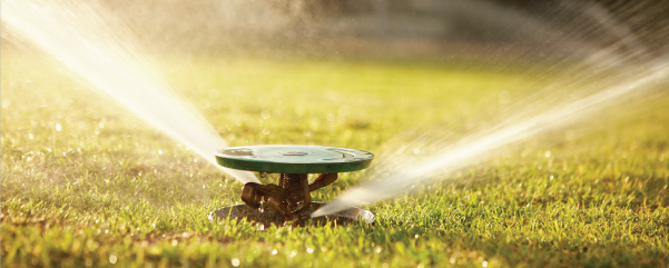 Irrigation in park