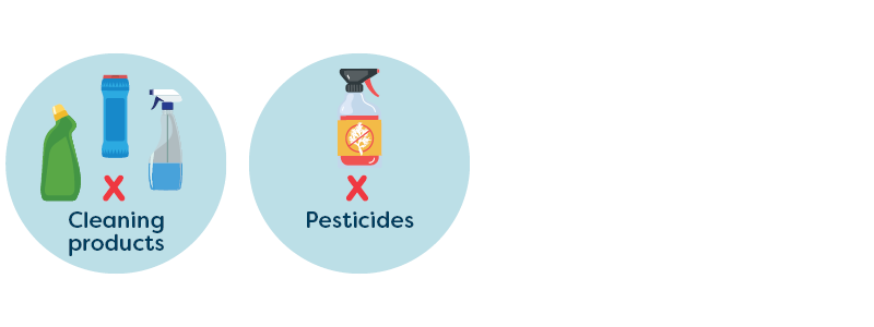 No cleaning products and pesticides icon