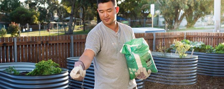 Image of man fertilising his vegetable garden.