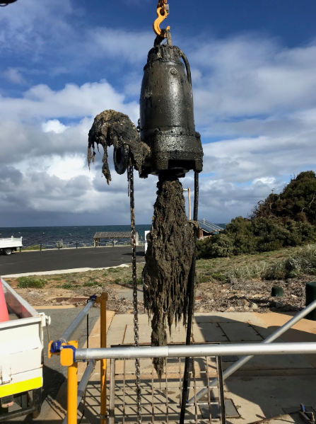 A large clump of waste is pulled out of a water pipe