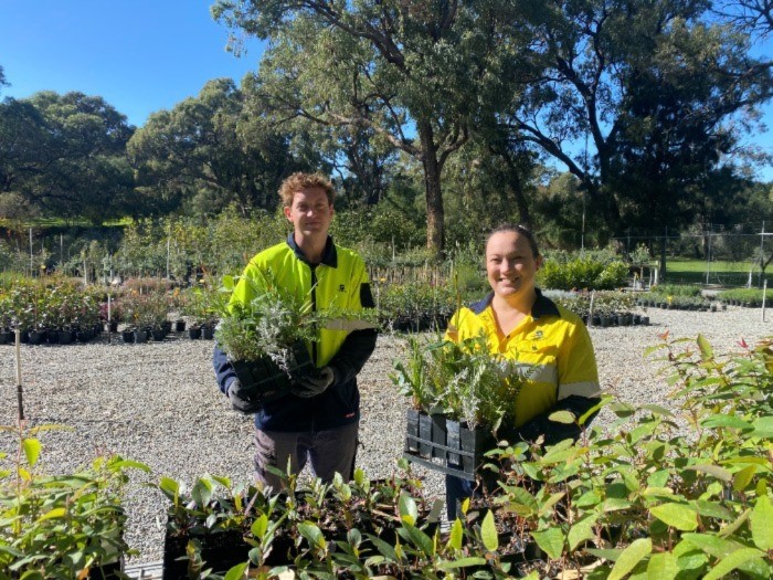 City of Stirling team at Hamersley nursery