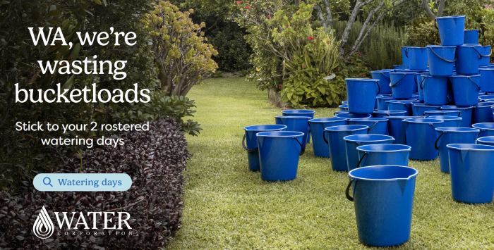 Blue buckets in a backyard garden with the words - WA - We're wasting bucketloads