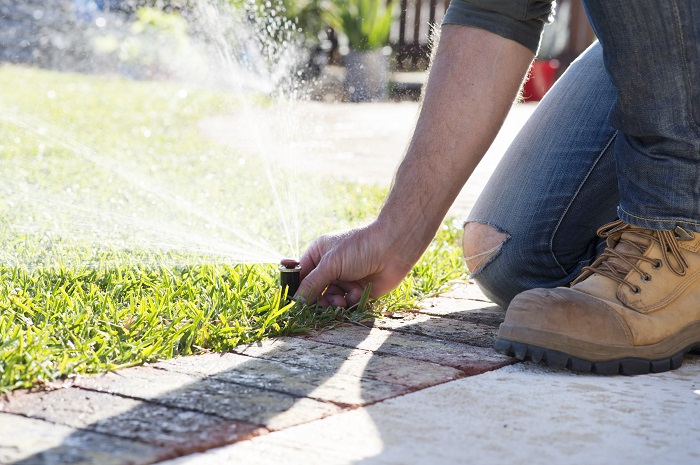 Man checking irrigation