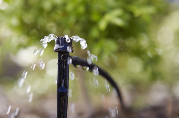 Waterwise irrigation sprinkler