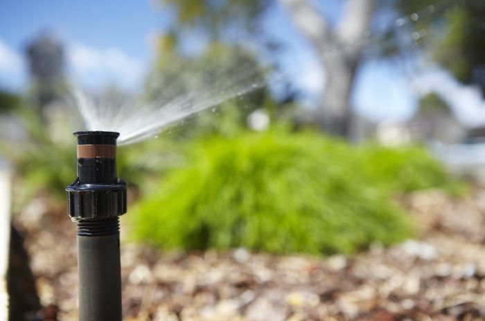 Waterwise sprinkler