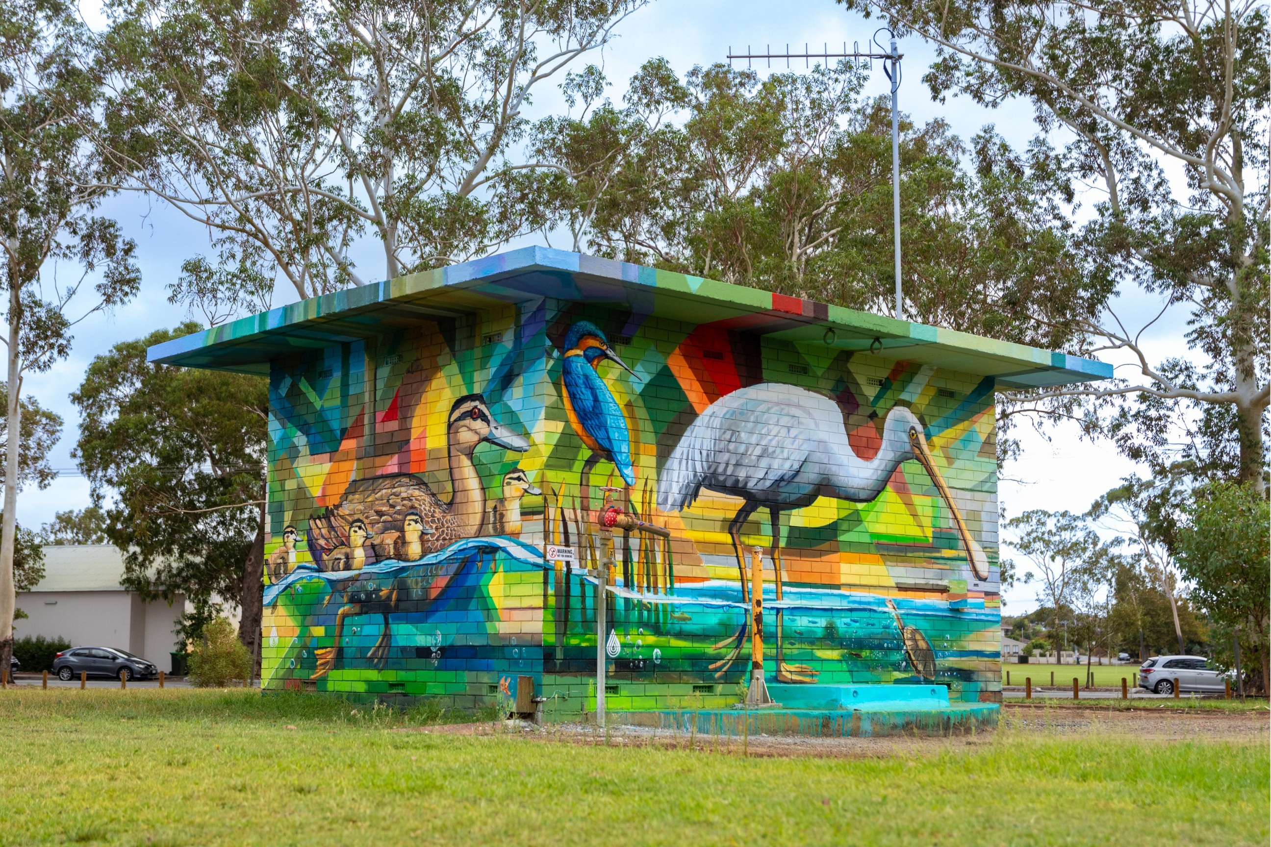 Utility building transformed with a colourful mural featuring native wetland birds, ducklings, and water scenes layered over geometric patterns in shades of green, blue, yellow, and orange.