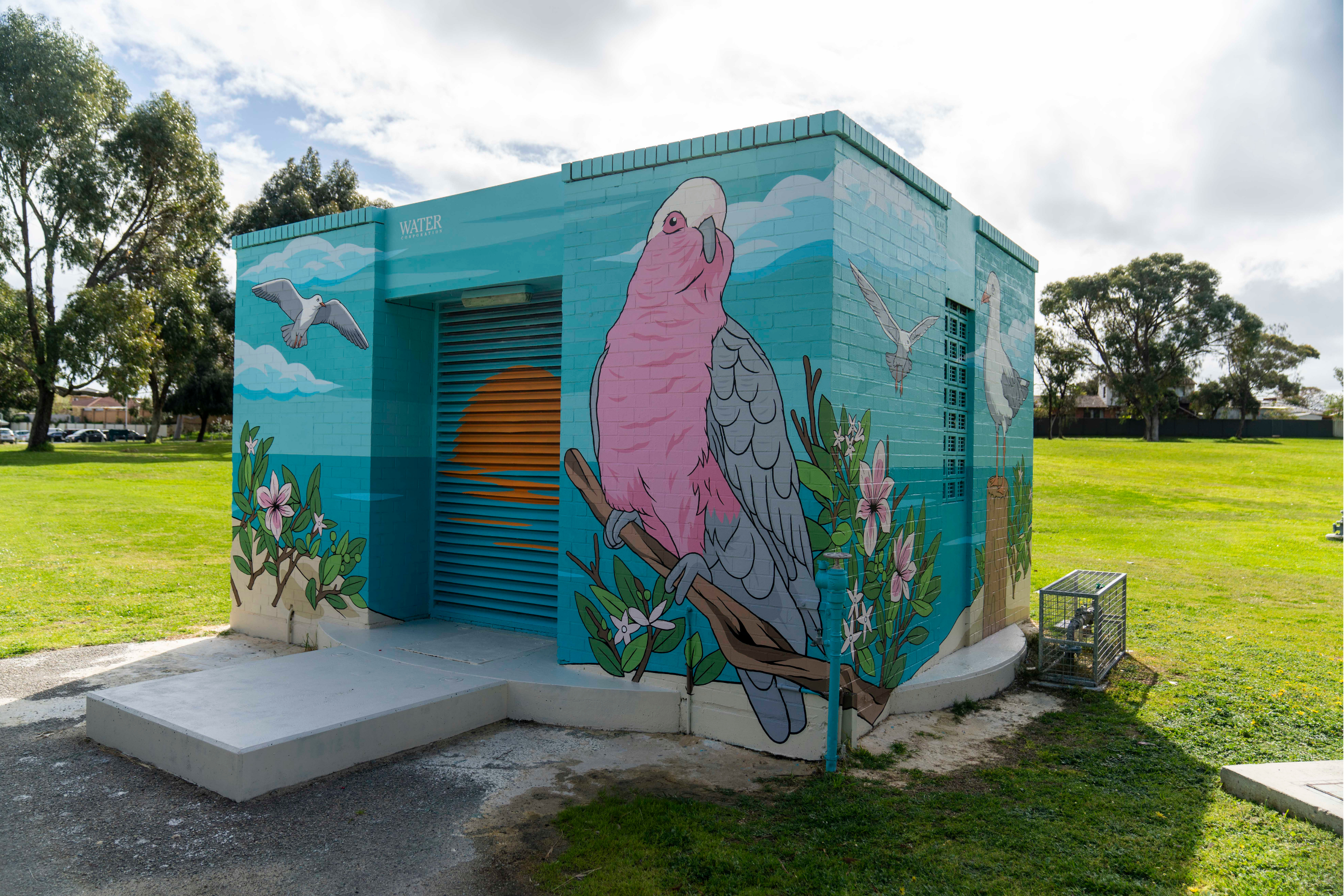 Utility building transformed with a colourful mural of a pink galah perched among native flowers, with coastal birds, clouds, and ocean-inspired blue tones in a park setting.