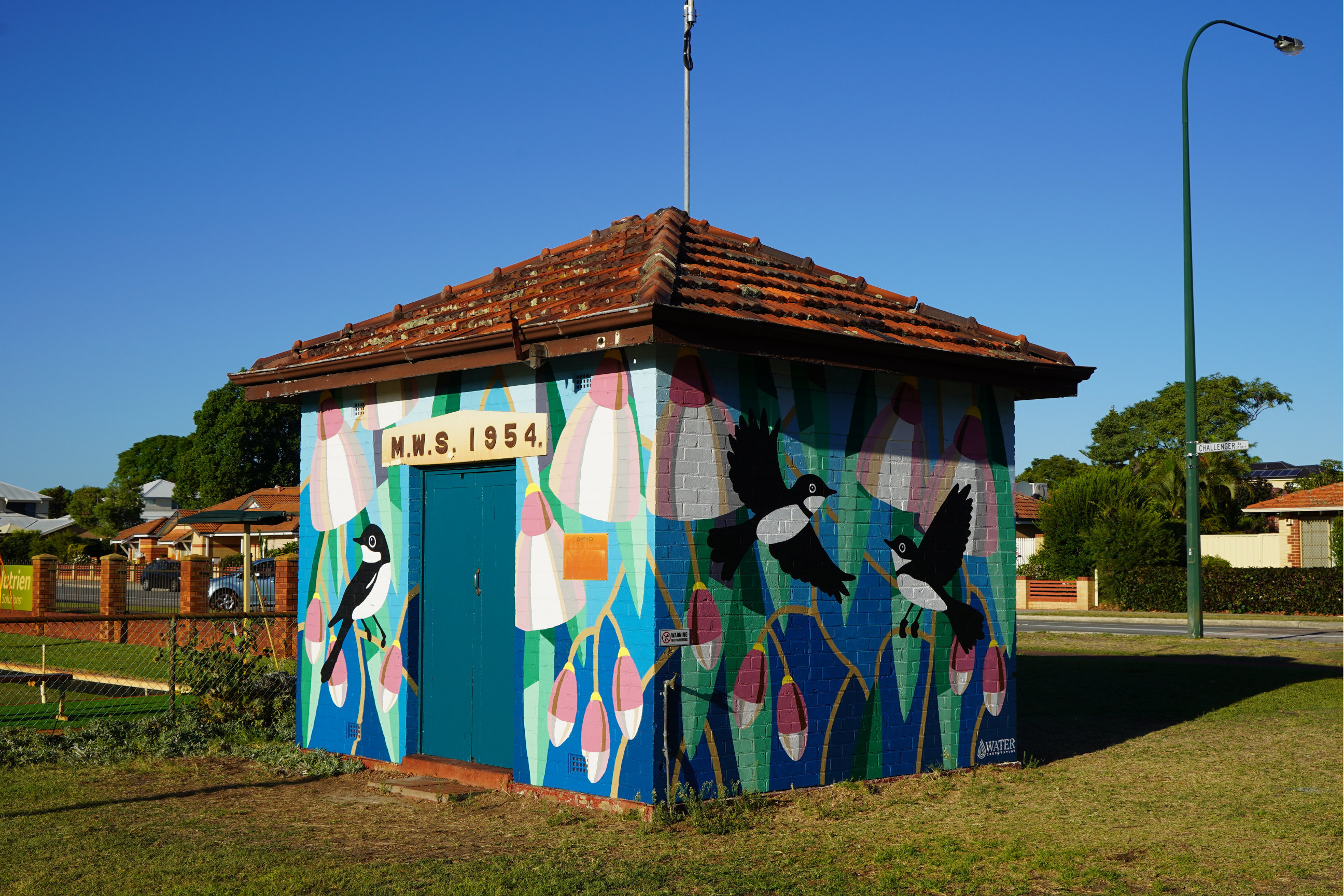 Utility building painted with a vibrant mural of magpies among flowering gum branches, featuring bold blue, green, pink, and white colours in a suburban park setting.