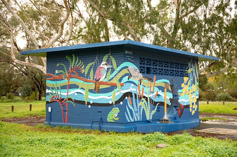 Splash of Colour Armadale Mural Society of Artists An operational asset painted with a dark blue mural featuring birds, turtles and native plants