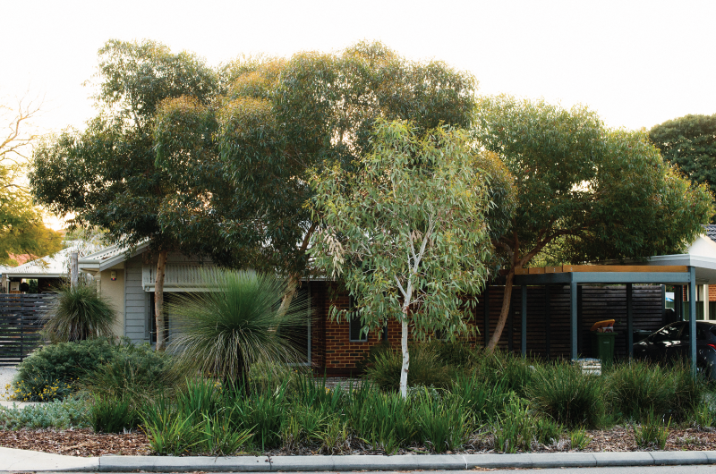 Waterwise verge competition
