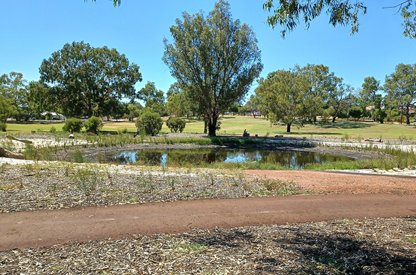 Town of Bassendean - Mary Crescent Reserve wetland Town of Bassendean - Mary Crescent Reserve wetland