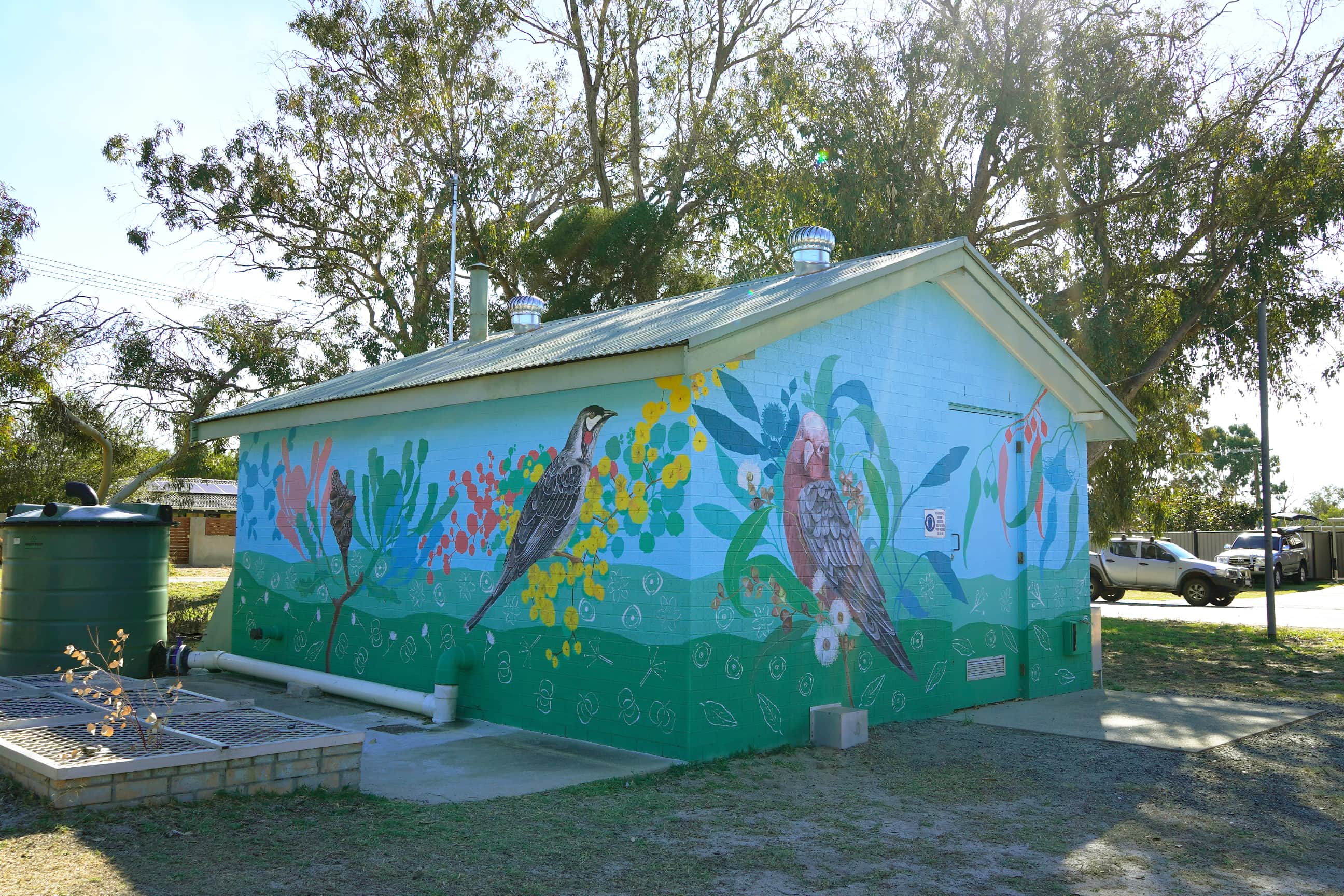 Water facility building featuring a colourful mural of native birds surrounded by blue, green, and yellow Australian flora, set among tall trees in a rural landscape.
