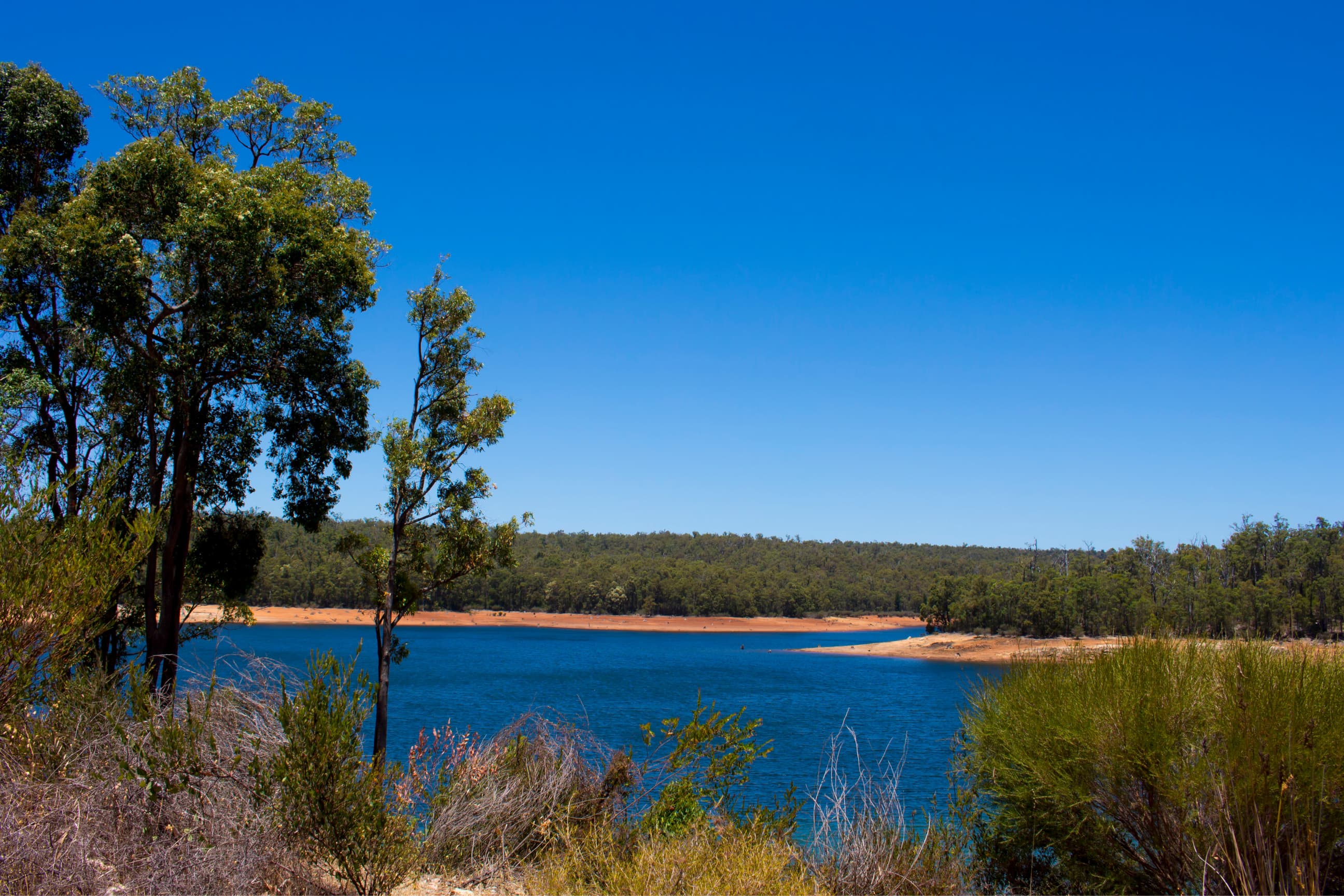 View of a reservoir surrounded by bushland and native vegetation under a clear blue sky