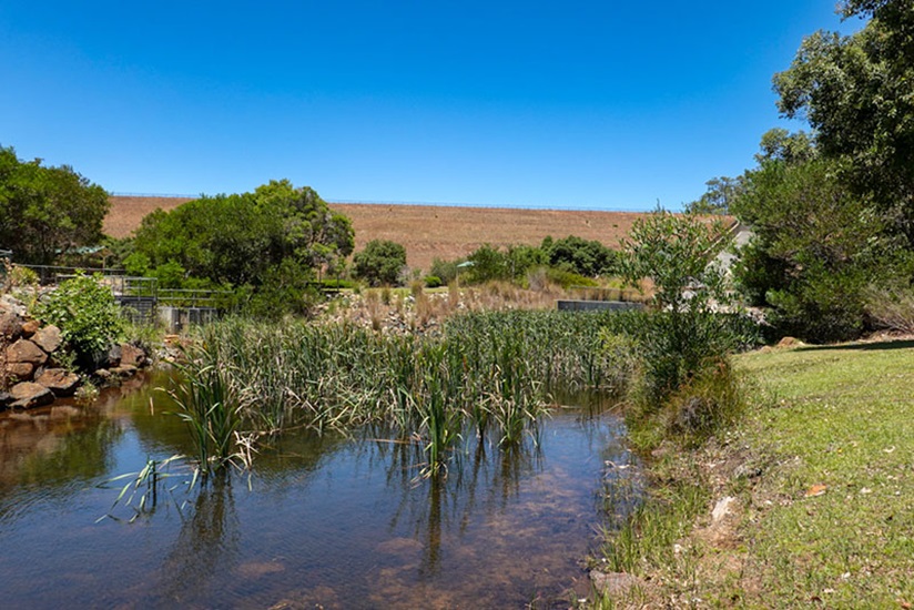 Churchman Brook Water from Churchman Brook flows alongside a grassy area at Churchman Brook Dam