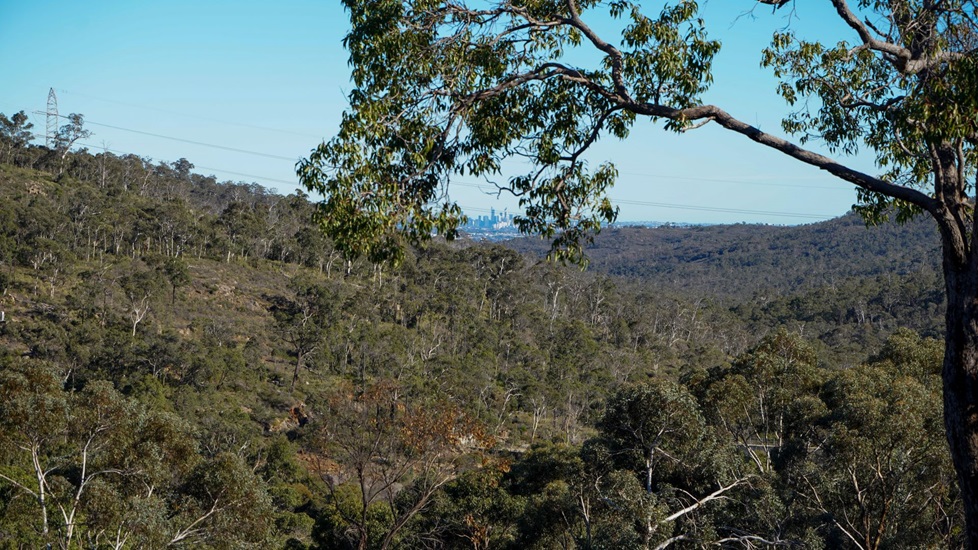 Victoria dam photo